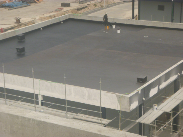 Rooftop Coating
